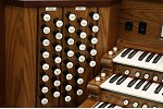 Organ of the Week