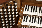 Organ of the Week