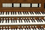 Organ of the Week